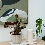 Glückskoje - Ihr Ferienzuhause In Der Pfalz Apartment