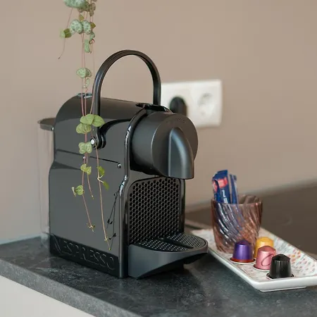 公寓 Urlaub In Der Glueckskoje - 2 Sz, Wintergarten, Haustiere Willkommen *