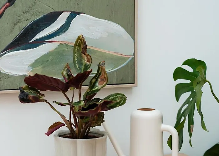 Glückskoje - Ihr Ferienzuhause In Der Pfalz Apartment