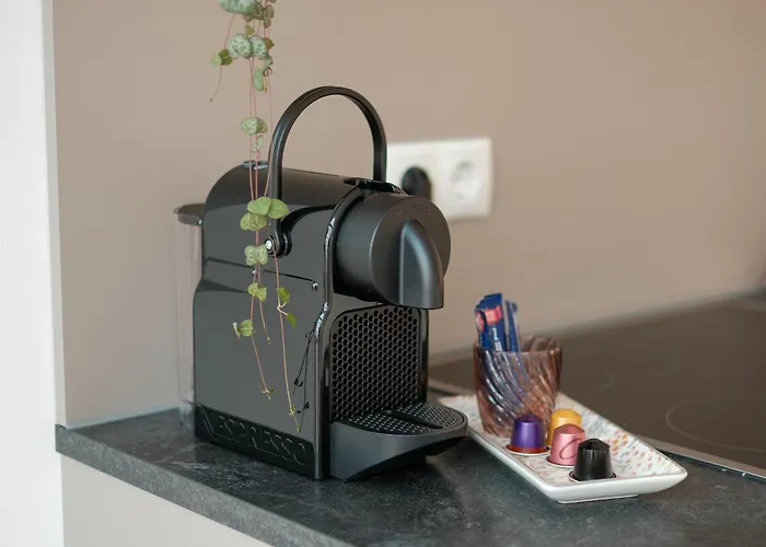 公寓 Urlaub In Der Glueckskoje - 2 Sz, Wintergarten, Haustiere Willkommen *